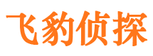 夷陵外遇调查取证